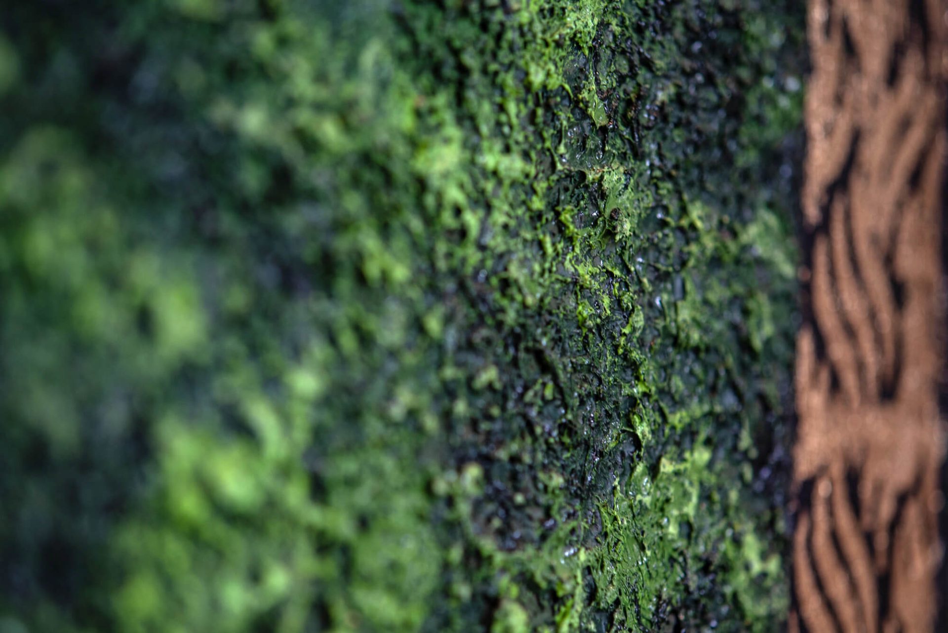 Marla Anna Christina - "Vonzás" festmény 3.